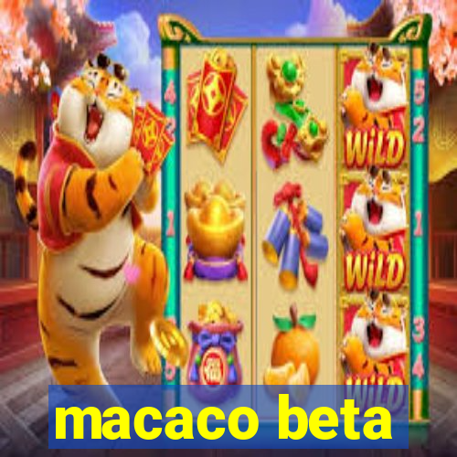 macaco beta