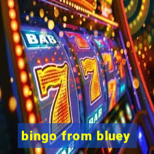 bingo from bluey