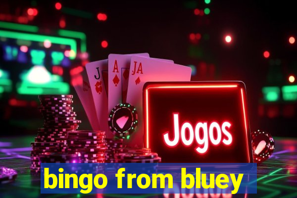 bingo from bluey