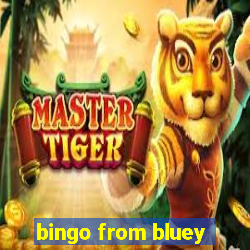 bingo from bluey