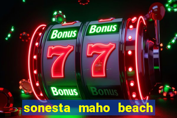 sonesta maho beach resort casino spa