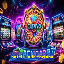 hotels in la fortuna