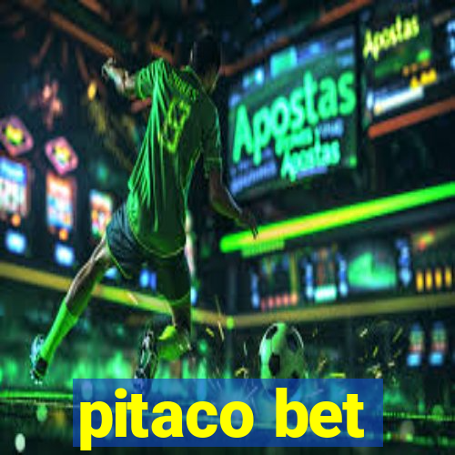 pitaco bet