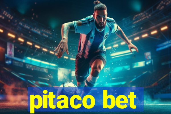 pitaco bet