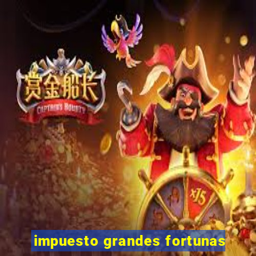 impuesto grandes fortunas