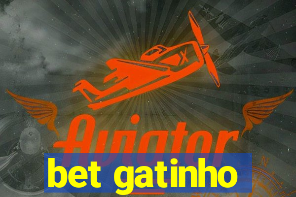 bet gatinho