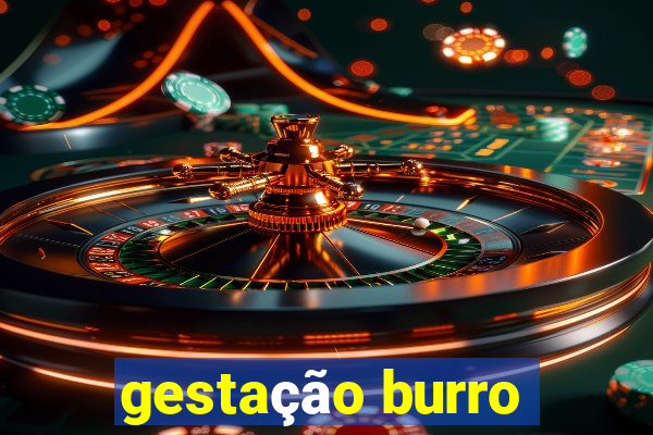 gestação burro