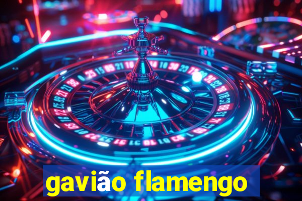 gavião flamengo