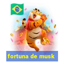 fortuna de musk