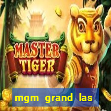 mgm grand las vegas hotel & casino