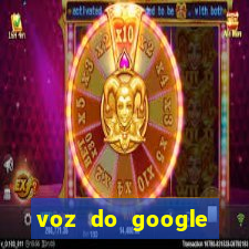 voz do google tradutor homem