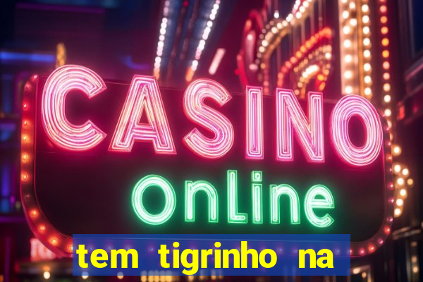 tem tigrinho na bet 365