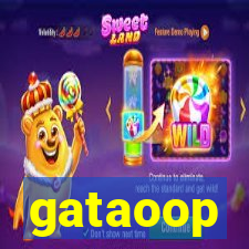 gataoop