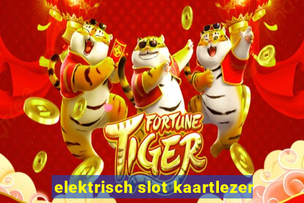 elektrisch slot kaartlezer