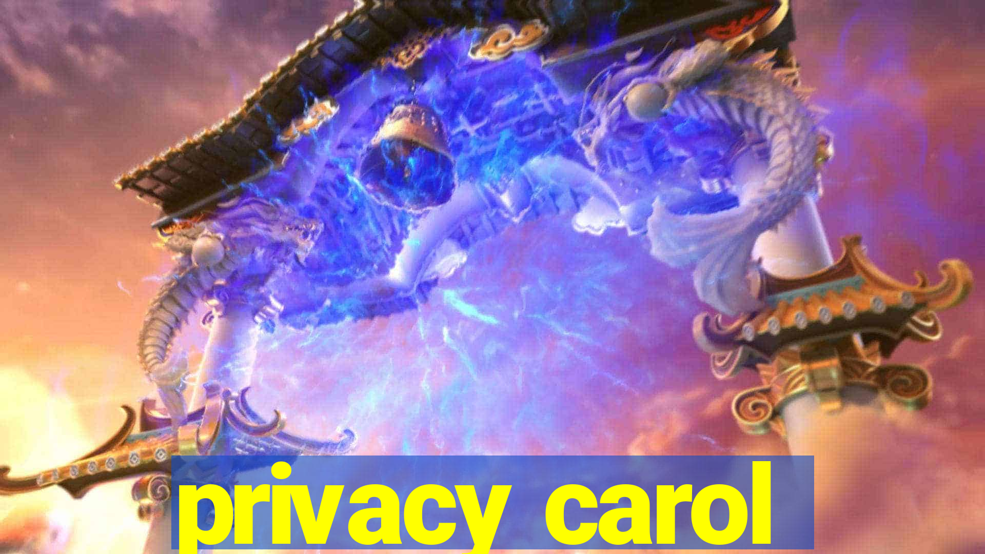 privacy carol