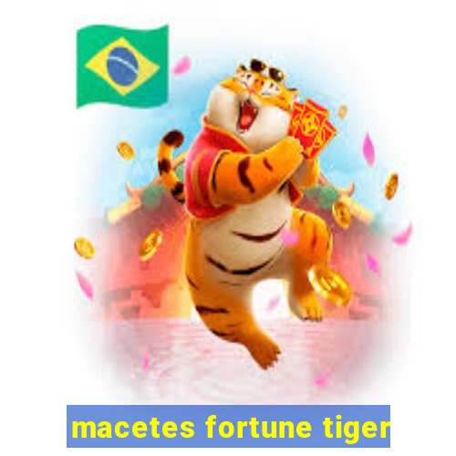 macetes fortune tiger