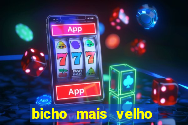 bicho mais velho da loteria dos sonhos