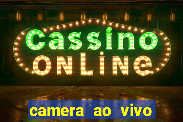 camera ao vivo terminal vila nova cachoeirinha