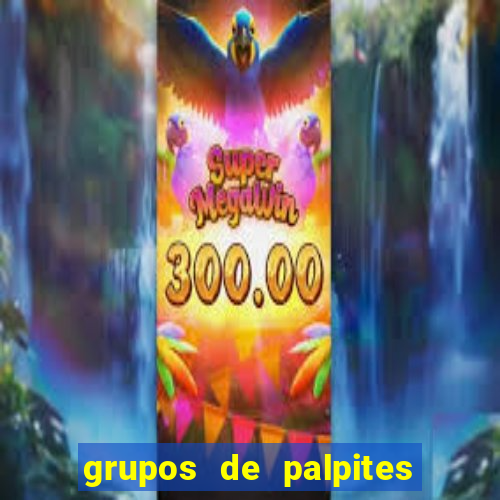 grupos de palpites de futebol