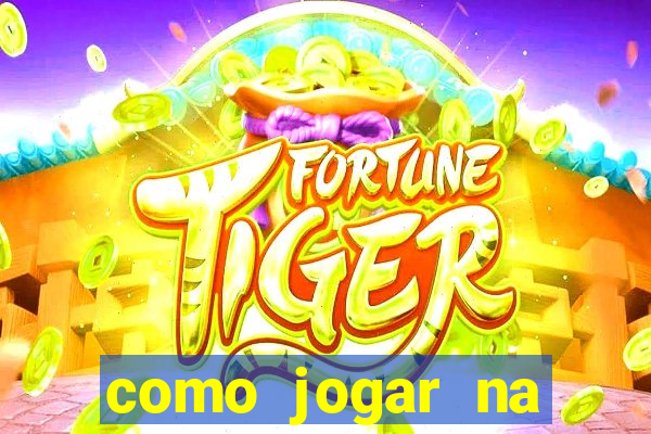 como jogar na lotinha do jogo do bicho