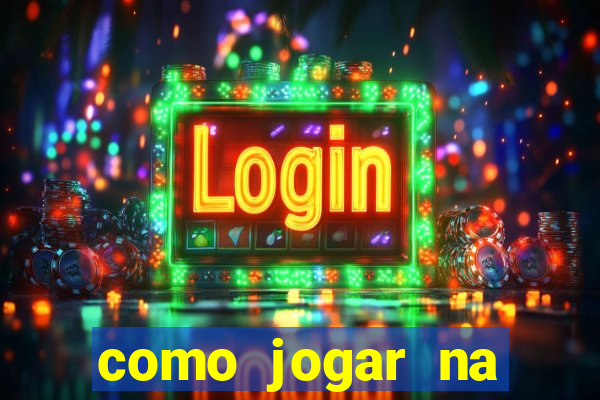 como jogar na lotinha do jogo do bicho