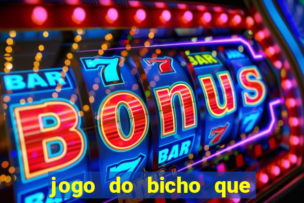 jogo do bicho que da dinheiro