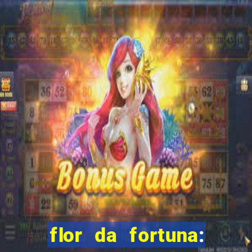 flor da fortuna: como cuidar