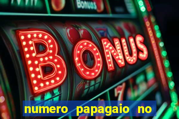 numero papagaio no jogo do bicho