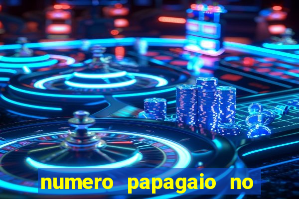 numero papagaio no jogo do bicho