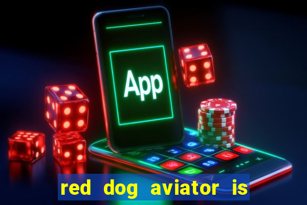 red dog aviator is real or fake