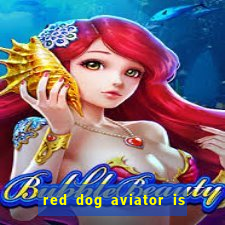 red dog aviator is real or fake