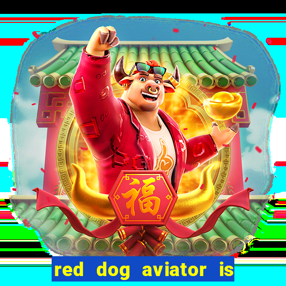 red dog aviator is real or fake