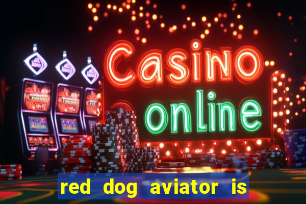 red dog aviator is real or fake