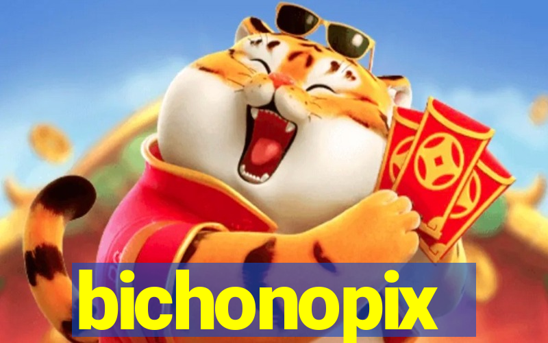 bichonopix