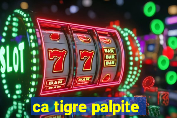 ca tigre palpite