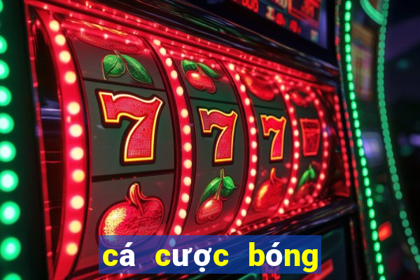 cá cược bóng đá online