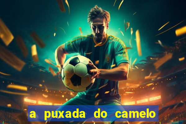 a puxada do camelo no jogo do bicho