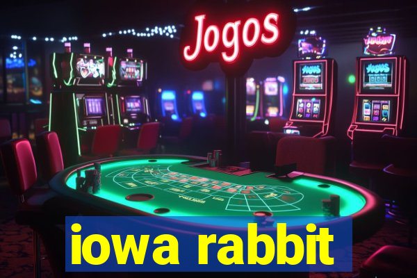 iowa rabbit