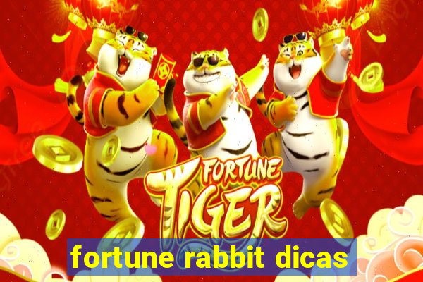 fortune rabbit dicas