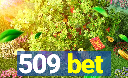 509 bet