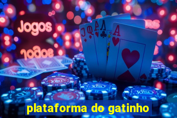 plataforma do gatinho