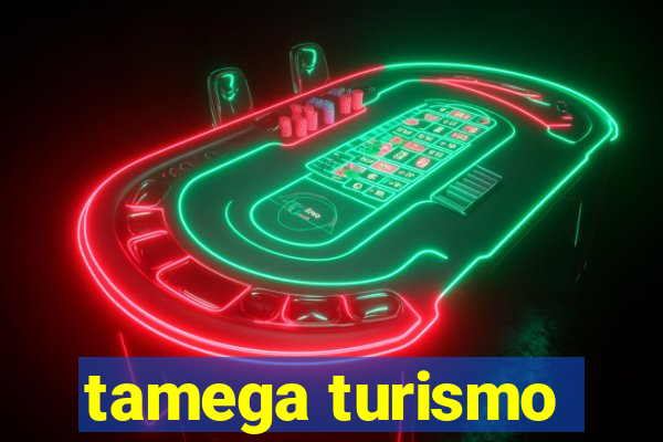 tamega turismo