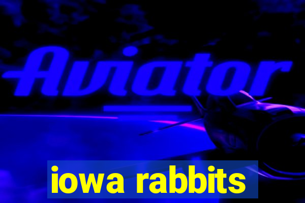 iowa rabbits