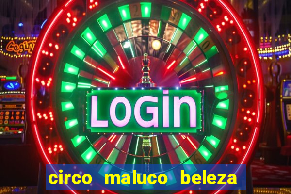 circo maluco beleza recife circo maluco