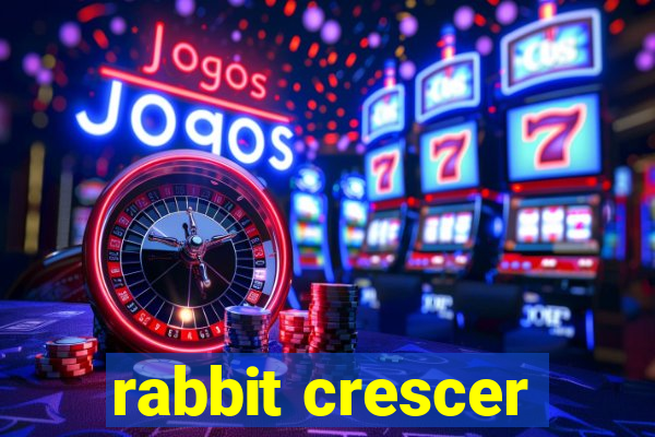 rabbit crescer