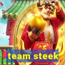 team steek