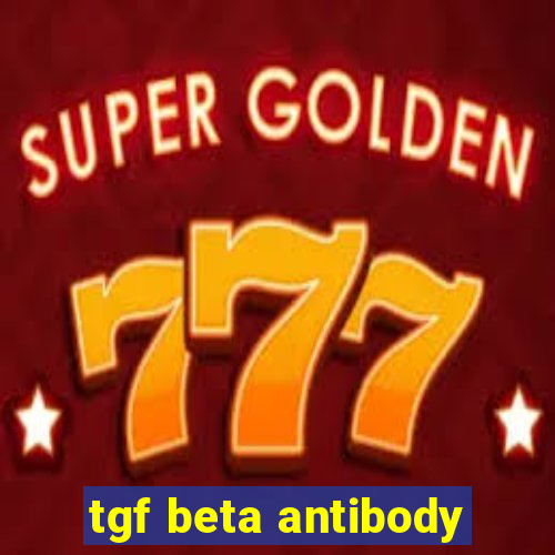 tgf beta antibody