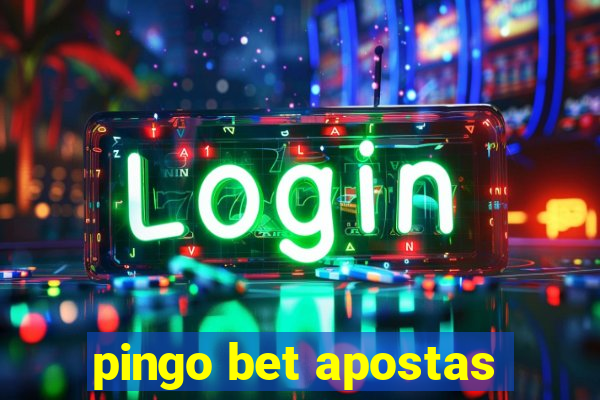 pingo bet apostas