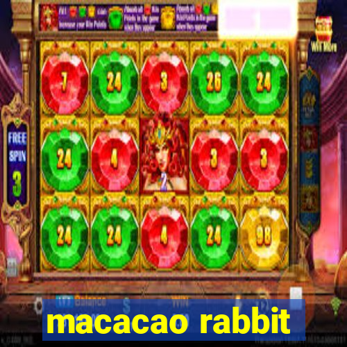 macacao rabbit