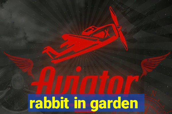 rabbit in garden